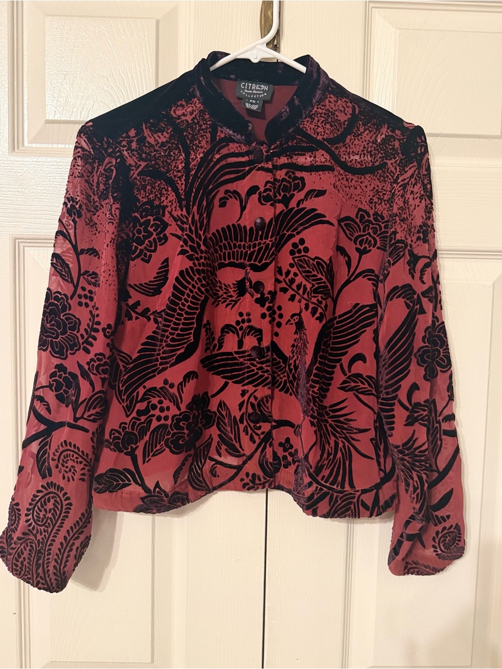 Citron Burgundy Velvet Burnout Floral & Bird Button-Up Top